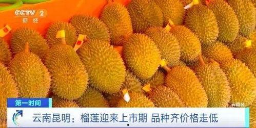 榴莲少爷爆料视频,揭秘视频背后的惊人真相