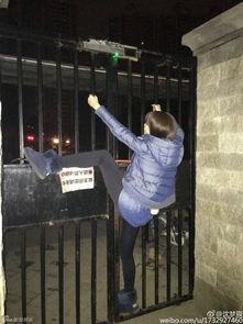 在线观看铁门  第2张