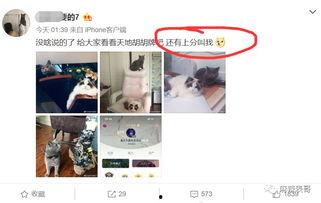 网红直播吃瓜入口在线观看,观众在线围观一饱眼福 第2张 网红直播吃瓜入口在线观看,观众在线围观一饱眼福 第2张